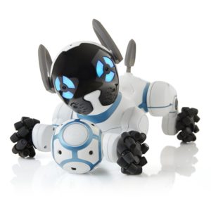 Chip Robotic Dog